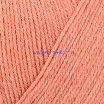 Schachenmayr Regia Premium Silk 4ply (,  1)