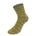 Lana Grossa Meilenweit Vintage Socks.  2