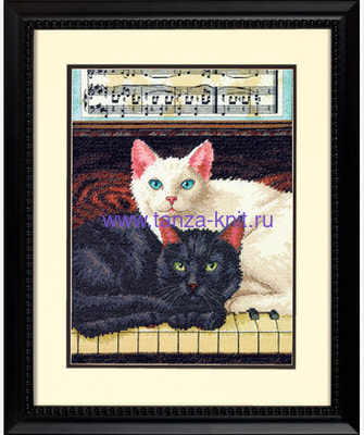 Dimensions ����� "׸���� � �����"