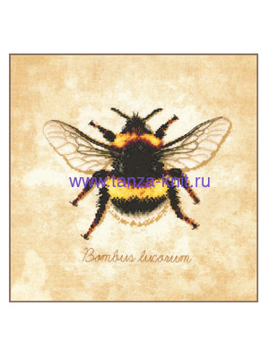 Lanarte Набор "Bombus Iocorum (Шмель)" Lanarte Набор "Bombus Iocorum (Шмель)"