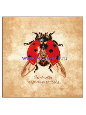Lanarte Набор "Coccinella septempunctata (Божья коровка)" Lanarte Набор "Coccinella septempunctata (Божья коровка)"