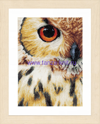 Lanarte Набор "Owl (Сова)" Lanarte Набор "Owl (Сова)"