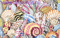 Westminster Lifestyle Fabrics  SHELL MONTAGE