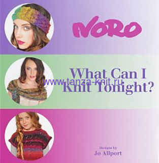 Noro What can i knit tonight