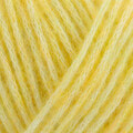 Schachenmayr Wool4Future