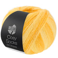 Lana Grossa Meilenweit Cosy Socks Soft Stripes