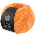 Lana Grossa Meilenweit Cosy Socks Soft Stripes