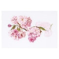 Thea Gouverneur ����� "Prunus"