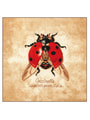 Lanarte ����� "Coccinella septempunctata (����� �������)"