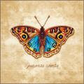 Lanarte ����� "Junonia coenia, (������� ���������)"