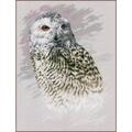 Lanarte ����� "Snowy Owl (������� ����)"