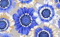Westminster Lifestyle Fabrics  PAINTED DAISIES