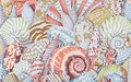 Westminster Lifestyle Fabrics  SHELL MONTAGE