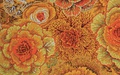 Westminster Lifestyle Fabrics  BRASSICA
