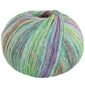 Lana Grossa Meilenweit Alpaca Print
